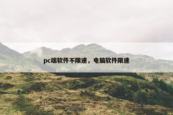pc端软件不限速，电脑软件限速