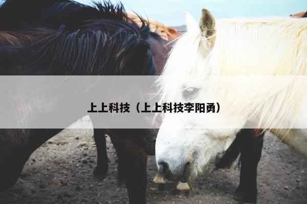 上上科技（上上科技李阳勇）