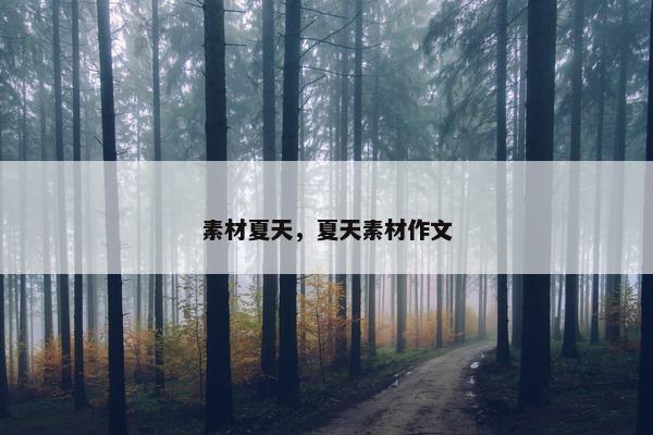 素材夏天，夏天素材作文