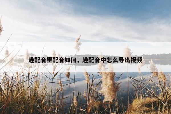 趣配音里配音如何，趣配音中怎么导出视频