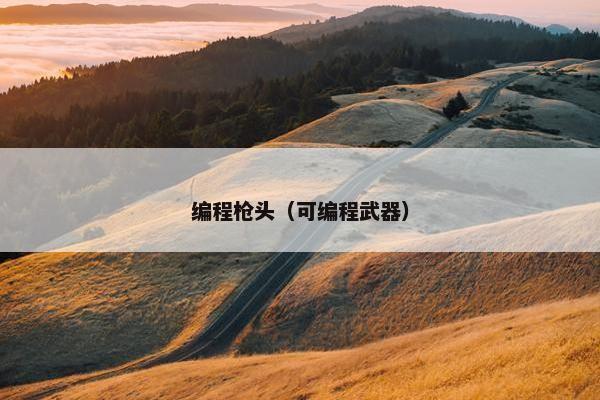编程枪头（可编程武器）