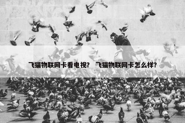 飞猫物联网卡看电视？ 飞猫物联网卡怎么样？