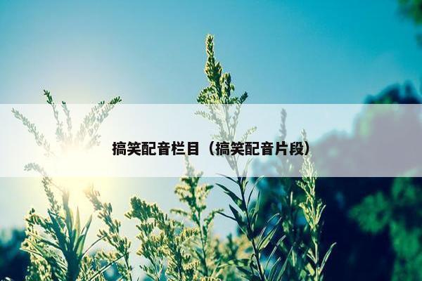 搞笑配音栏目（搞笑配音片段）
