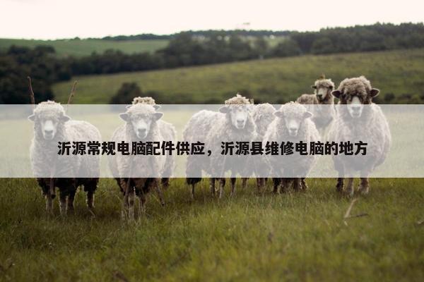 沂源常规电脑配件供应，沂源县维修电脑的地方