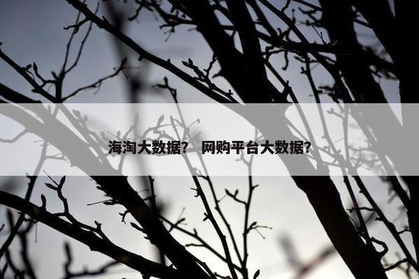 海淘大数据？ 网购平台大数据？