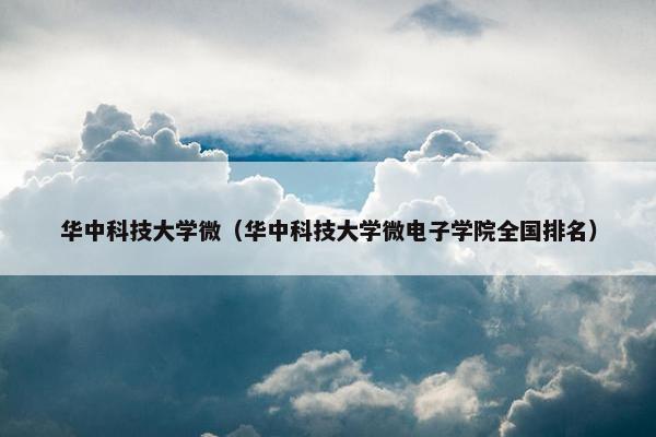 华中科技大学微（华中科技大学微电子学院全国排名）