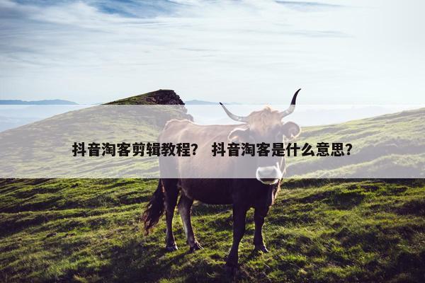 抖音淘客剪辑教程？ 抖音淘客是什么意思？