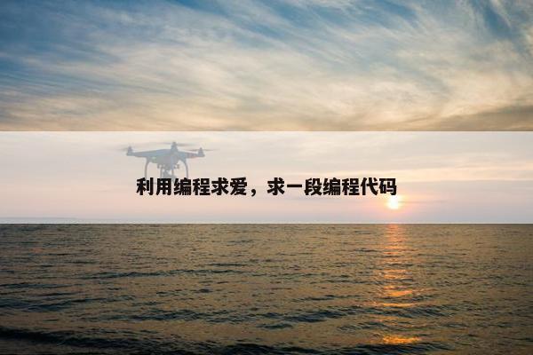 利用编程求爱，求一段编程代码