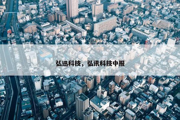 弘迅科技，弘讯科技中报
