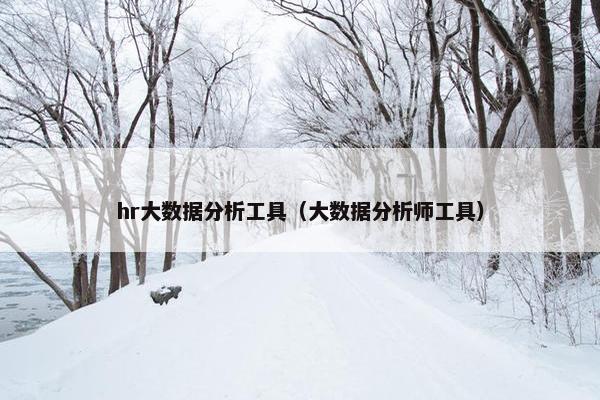 hr大数据分析工具（大数据分析师工具）