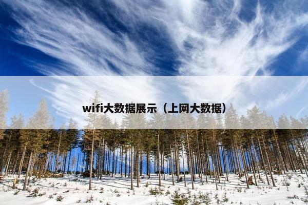 wifi大数据展示（上网大数据）