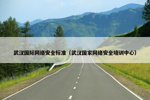 武汉国际网络安全标准（武汉国家网络安全培训中心）