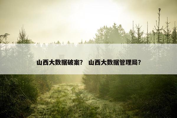 山西大数据破案？ 山西大数据管理局？