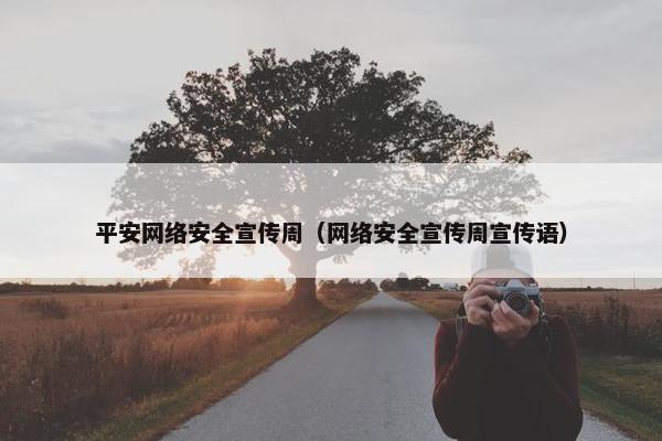 平安网络安全宣传周（网络安全宣传周宣传语）