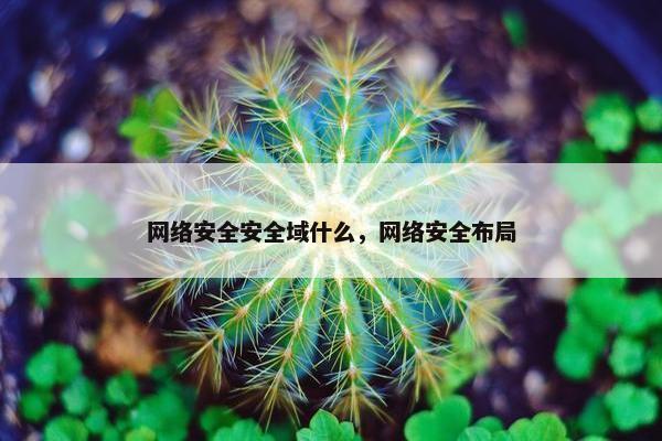网络安全安全域什么，网络安全布局