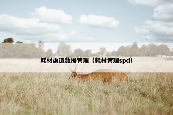 耗材渠道数据管理（耗材管理spd）