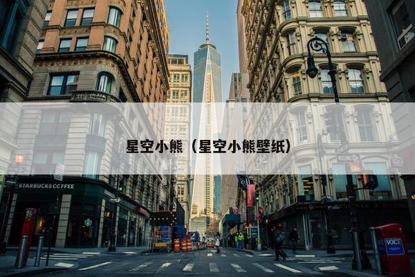 星空小熊（星空小熊壁纸）