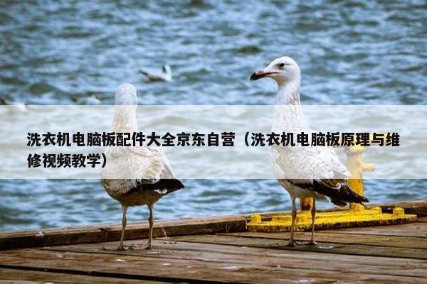 洗衣机电脑板配件大全京东自营（洗衣机电脑板原理与维修视频教学）