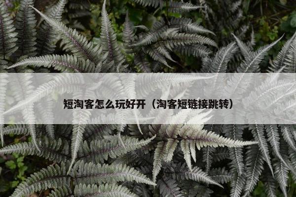 短淘客怎么玩好开（淘客短链接跳转）