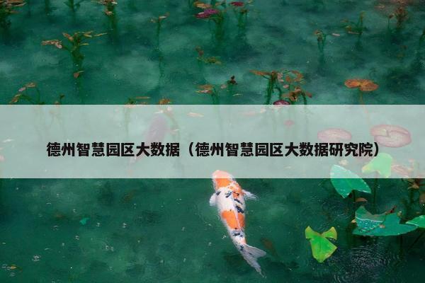 德州智慧园区大数据（德州智慧园区大数据研究院）