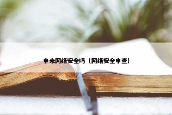 申未网络安全吗（网络安全申查）