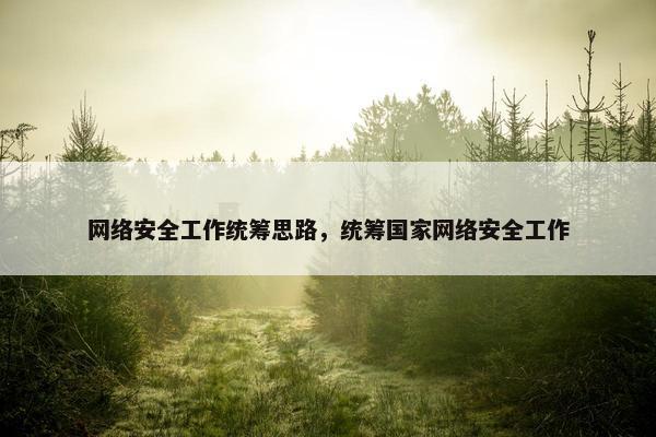 网络安全工作统筹思路，统筹国家网络安全工作