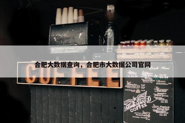 合肥大数据查询，合肥市大数据公司官网