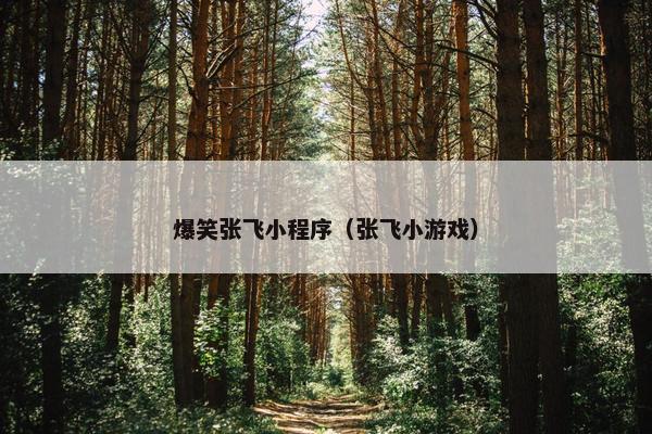 爆笑张飞小程序（张飞小游戏）