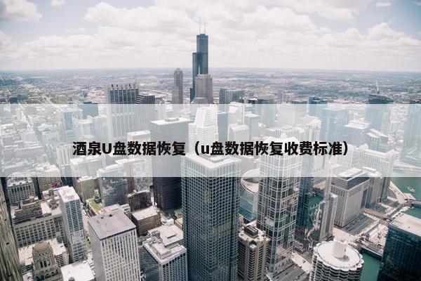 酒泉U盘数据恢复（u盘数据恢复收费标准）