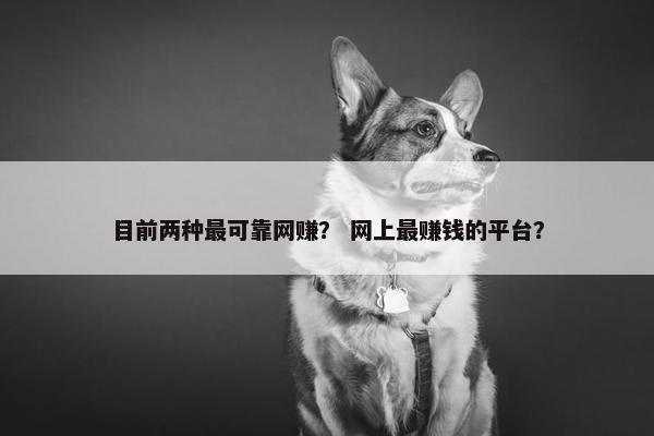 目前两种最可靠网赚？ 网上最赚钱的平台？
