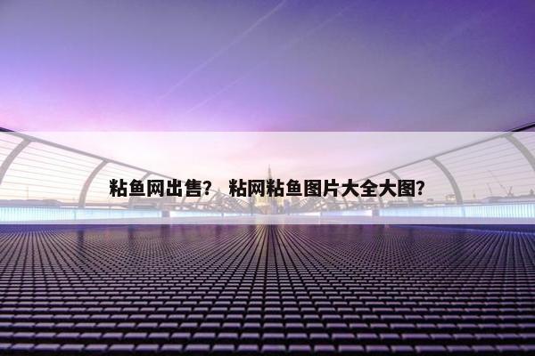 粘鱼网出售？ 粘网粘鱼图片大全大图？