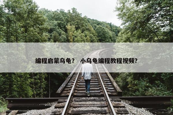 编程启蒙乌龟？ 小乌龟编程教程视频？
