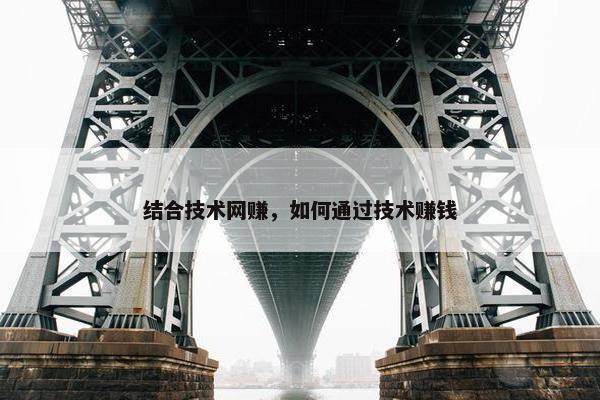 结合技术网赚，如何通过技术赚钱