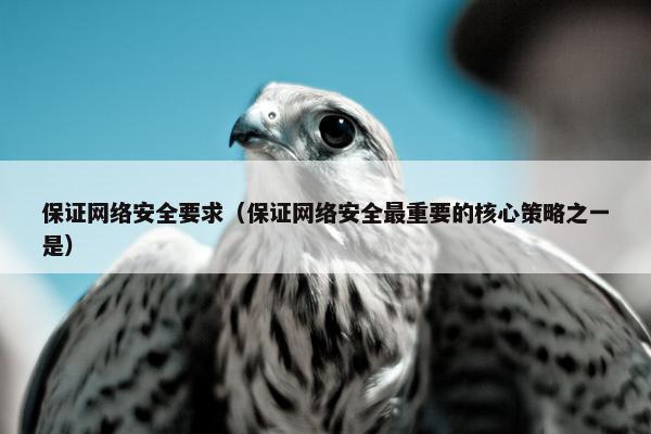 保证网络安全要求（保证网络安全最重要的核心策略之一是）
