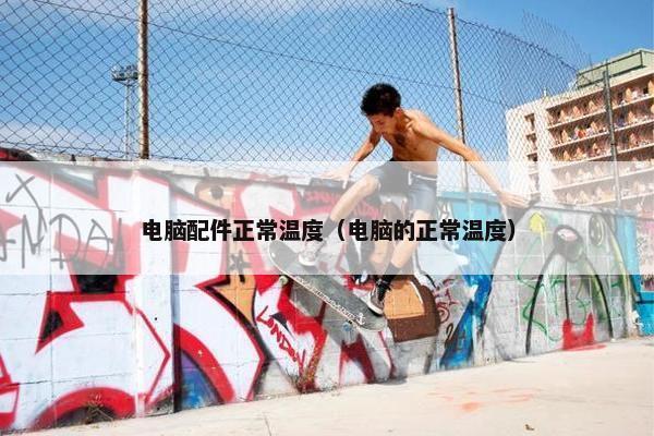 电脑配件正常温度（电脑的正常温度）