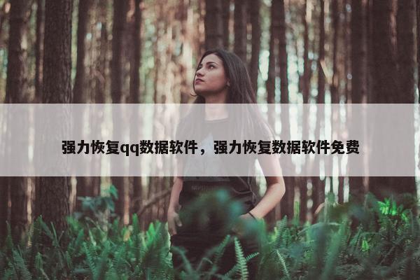 强力恢复qq数据软件，强力恢复数据软件免费