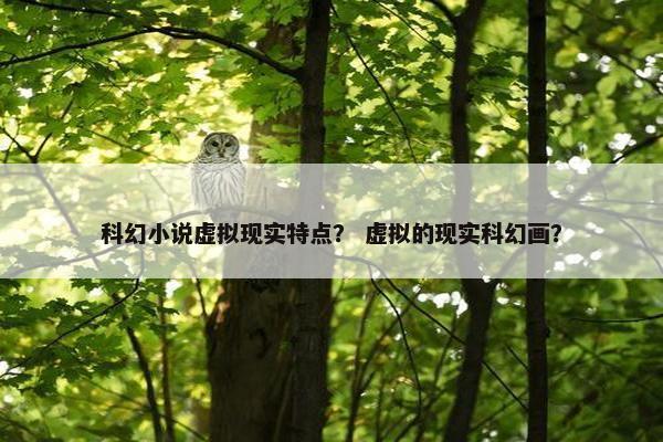 科幻小说虚拟现实特点？ 虚拟的现实科幻画？