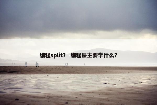 编程split？ 编程课主要学什么？