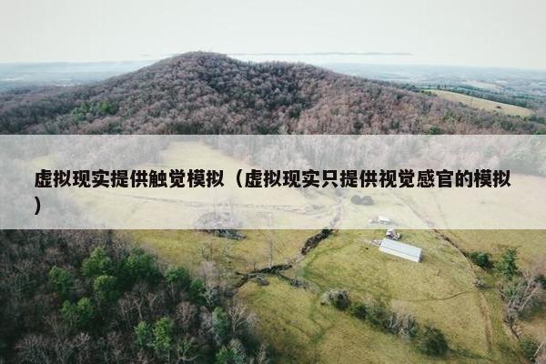 虚拟现实提供触觉模拟（虚拟现实只提供视觉感官的模拟）