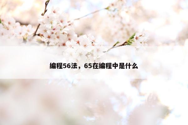 编程56法，65在编程中是什么