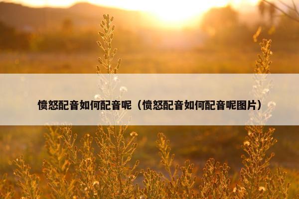 愤怒配音如何配音呢（愤怒配音如何配音呢图片）