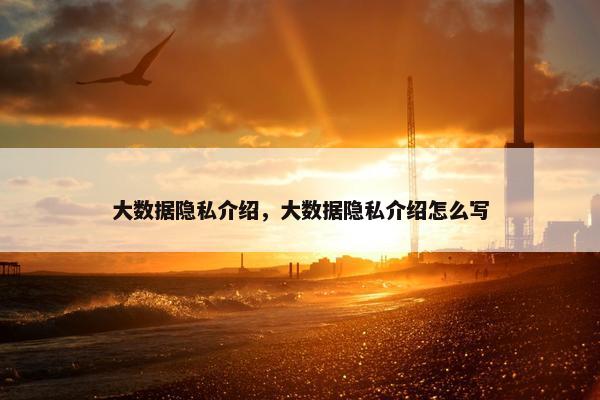 大数据隐私介绍，大数据隐私介绍怎么写
