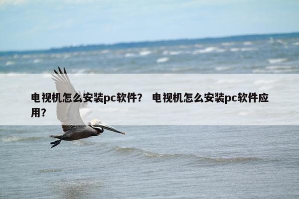 电视机怎么安装pc软件？ 电视机怎么安装pc软件应用？