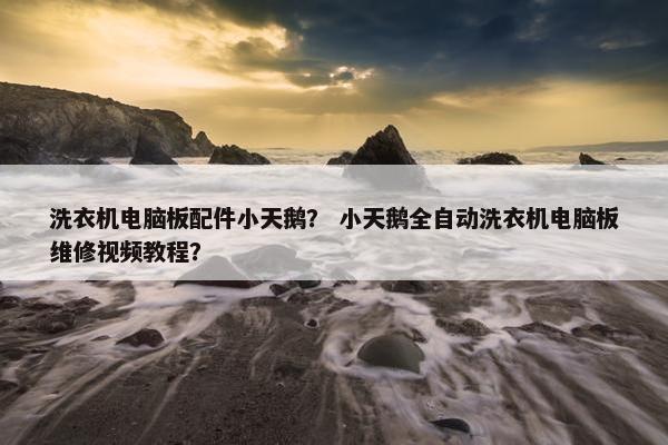 洗衣机电脑板配件小天鹅？ 小天鹅全自动洗衣机电脑板维修视频教程？