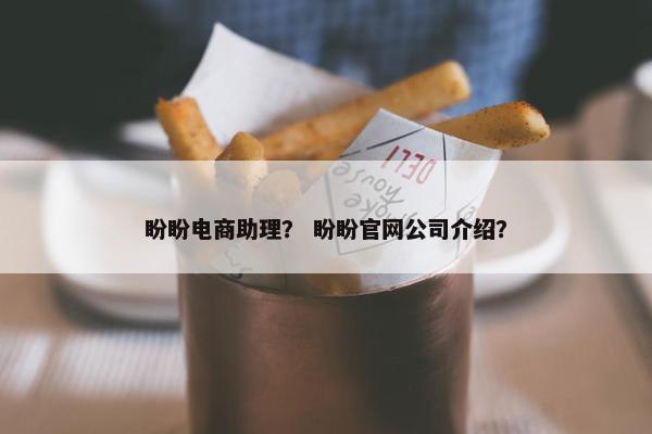 盼盼电商助理？ 盼盼官网公司介绍？