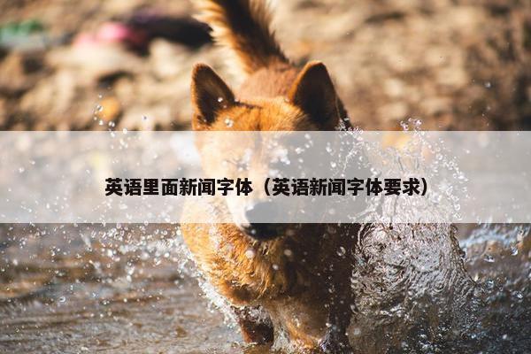 英语里面新闻字体（英语新闻字体要求）