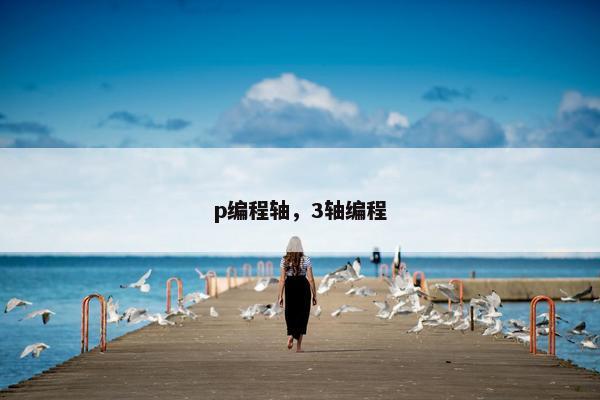 p编程轴，3轴编程