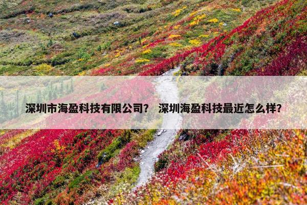 深圳市海盈科技有限公司？ 深圳海盈科技最近怎么样？