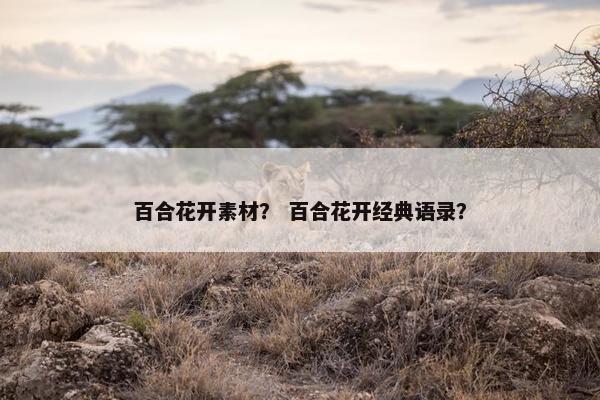 百合花开素材？ 百合花开经典语录？