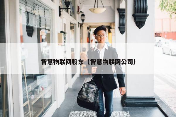 智慧物联网股东（智慧物联网公司）